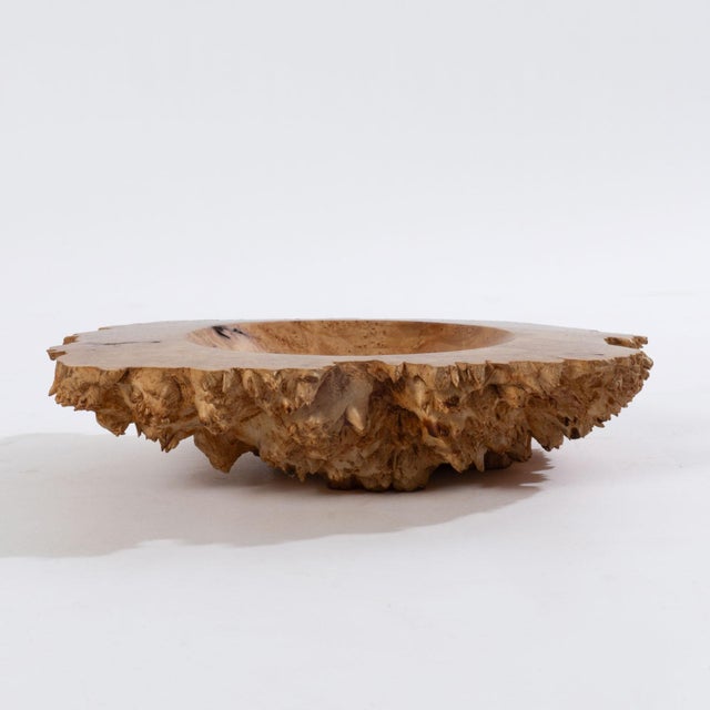 Contemporary Signed Albert d'Antonio Big Leaf Maple Burl Bowl For Sale - Image 3 of 6