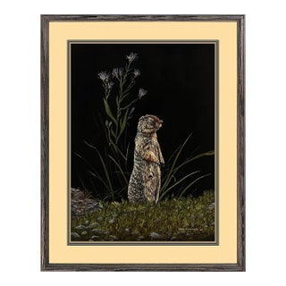 Late 20th Century Columbian Ground Squirrel, Ron Ukrainetz For Sale