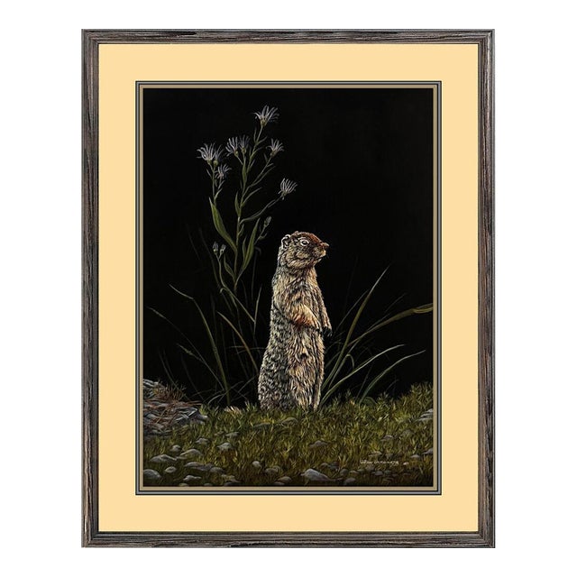 Late 20th Century Columbian Ground Squirrel, Ron Ukrainetz For Sale