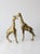 Mid Century Brass Giraffes Pair For Sale - Image 11 of 13