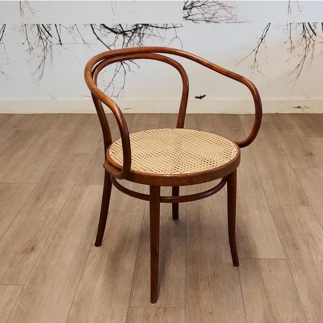 1970s No. 209 Armchairs in Bentwood and Rattan from Ligna, 1970s, Set of 4 For Sale - Image 5 of 13