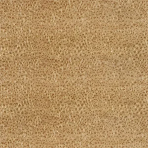 Zoffany Wallis Velvet Fabric in Old Gold - a Sample