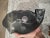 1970s 1970s Inuit Native Josie Nuluki Soapstone Carved Seal For Sale - Image 5 of 10