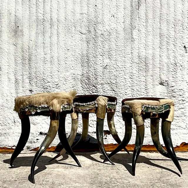 Boho Chic Vintage Boho Horn Stools - Set of 3 For Sale - Image 3 of 8