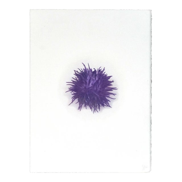 "Botanica IV" - Gum Dichromate Print by S. Howard For Sale