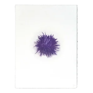 "Botanica IV" - Gum Dichromate Print by S. Howard