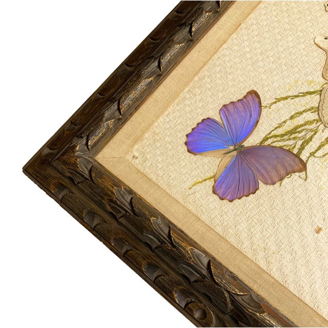 If you are a lover of mid-century art AND butterflies....boy do we have a great piece for you!! This framed butterfly...