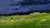 Oil Painting Evening Field Boris Serdyuk For Sale