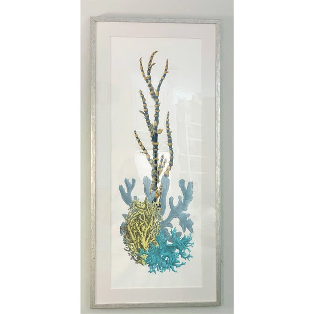 Contemporary Large Sea Coral Print by Quatrine Home Chairish