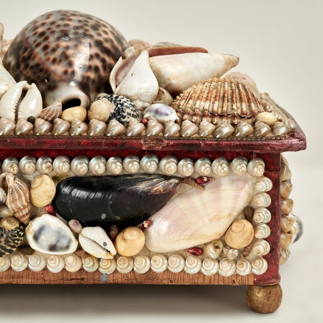 Antique British Colonial Seashell Encrusted Jewelry Box For Sale - Image 11 of 12