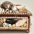 Antique British Colonial Seashell Encrusted Jewelry Box For Sale - Image 11 of 12