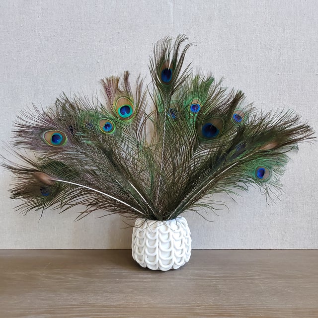 Naturally Shed Peacock Feathers, 25 Piece Chairish