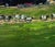 Green Oil Painting Evening Field Boris Serdyuk For Sale - Image 8 of 10