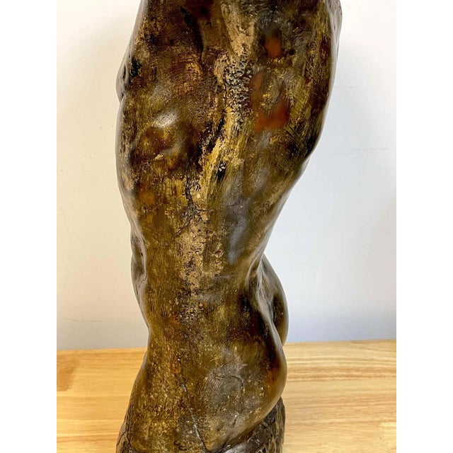 Mid 20th Century Mid 20th Century French Modern Bronzed Plaster Sculpture of a Male Nude Torso For Sale - Image 5 of 13