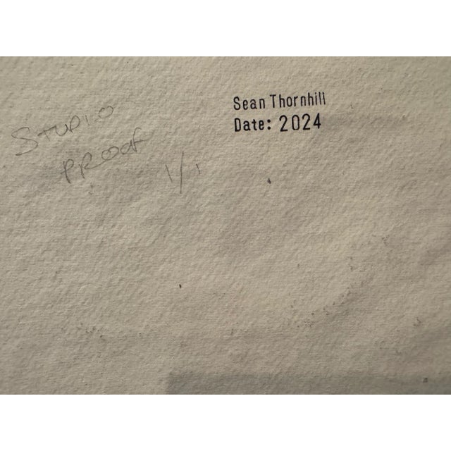 2020s 2024 Original Block Print 1/1 by Uk Artist Sean Thornhill, Framed For Sale - Image 5 of 5