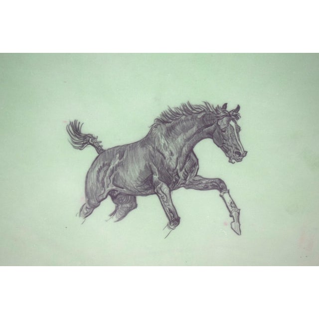 Traditional Paul Brown Polo Pencil on Acetate Drawing 14 For Sale - Image 3 of 4
