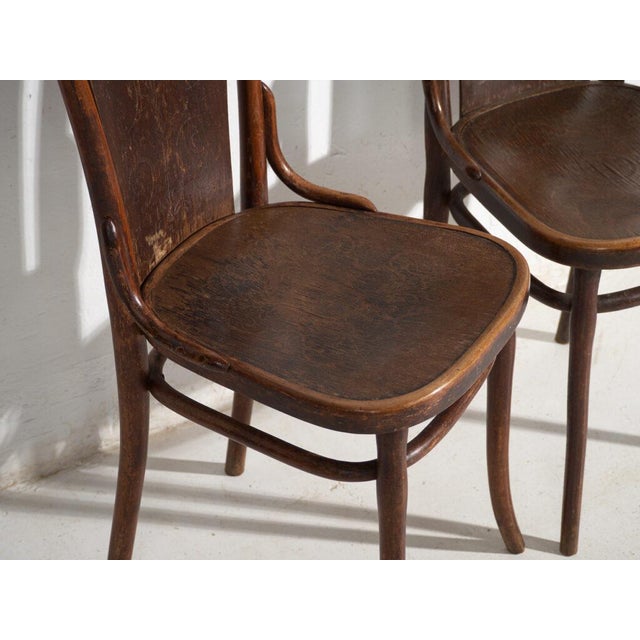 Antique Bentwood Chairs, Central Europe, 1900s, Set of 2 For Sale - Image 3 of 11