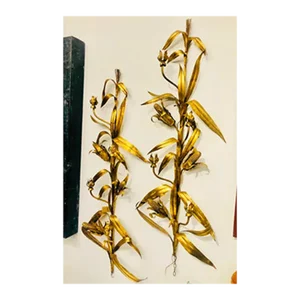 1960s Vintage Italian Gold Gilded Corn Husk Large Wall Sconces - a Pair