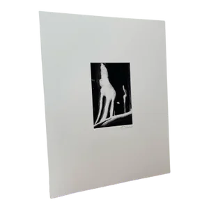 Vintage Matted Photograph Abstract Print by Seattle Photographer Bruce Saradow