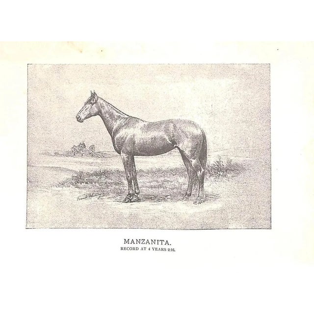 White "Training the Trotting Horse" 1891 Marvin, Charles For Sale - Image 8 of 10