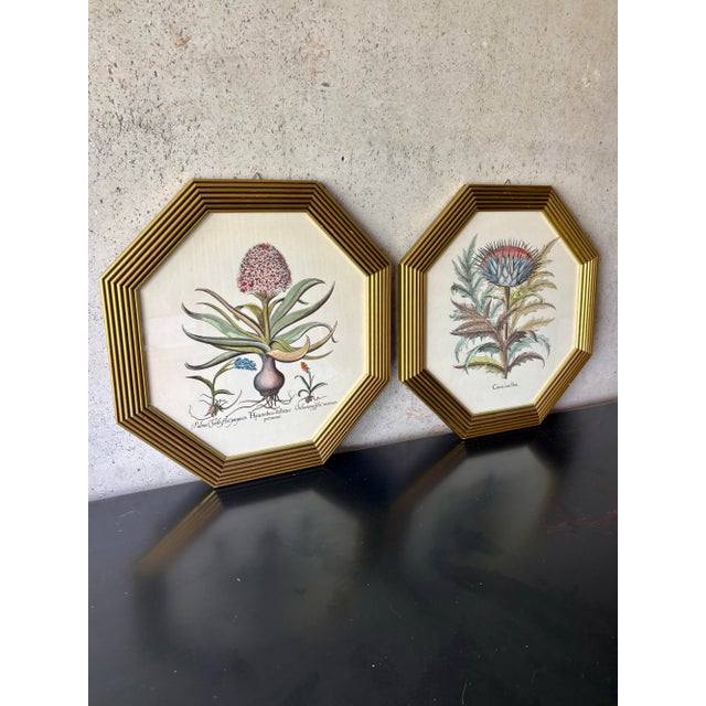 A charming pair of vintage Italian botanical prints presented in distinctive octagonal gilt frames. Featuring finely...