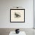 Paper After Lilian Medland, Gannet, Immature, 1909, Print For Sale - Image 7 of 9