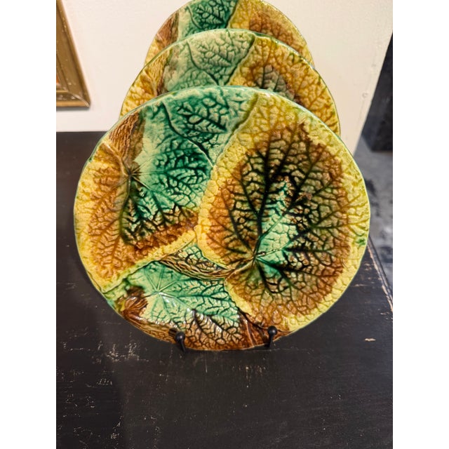 Early 20th Century Antique Majolica Begonia Plates - Set of 4 For Sale - Image 5 of 7