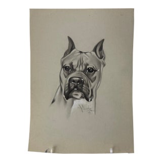 Original Signed Graphite Illustration of Boxer Dog Portrait, 12 × 9 In. For Sale
