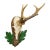 Great Black Forest Red Deer Trophy on Carved Plaque - Germany 1951 For Sale