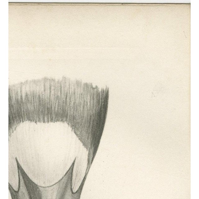 Beige After Lilian Medland, Heads of the Wild Geese, 1909, Print For Sale - Image 8 of 12