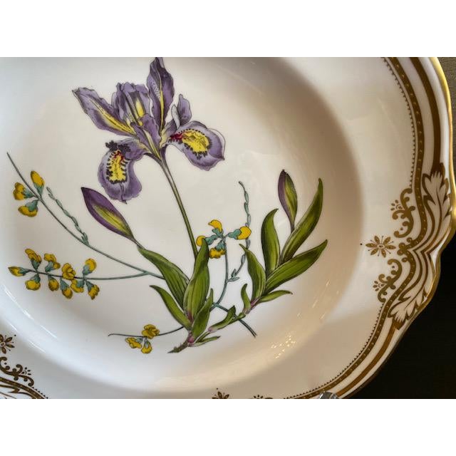 Spode English Dinner Stafford Flowers Bone Plates 14 Pieces Chairish