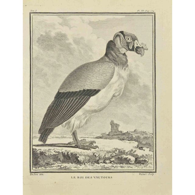 The King of Vults is an Etching Realized by F. Hubert in 1771. The Artwork Belongs to the Suite "Natural, General and...