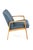 Vintage Alerheim Lounge Chair For Sale - Image 10 of 17
