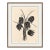 Poplar by Susan Hable For Sale