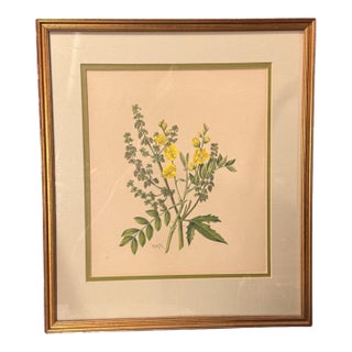 Antique Victorian Gilt Framed Floral Botanical Still Life & Leaf Lithograph Print For Sale