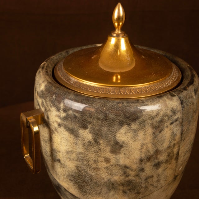 Grey Parchment and Brass Thermos Glacette by Macabo for Cusano Milanino, Italy, 1950 For Sale - Image 15 of 17