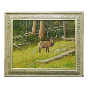 John Demott "Black Timber Bull" Original Oil Painting on Canvas Hand Signed Deer Framed