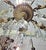 1930s French Bronze Dore' Crystal Chandelier For Sale In West Palm - Image 6 of 17