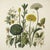 This fine art print reproduces a beautifully detailed 19th-century botanical illustration depicting an elegant arrangement...