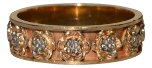 The Temescal: Ladies Tricolor 14K Antique Eternity Band