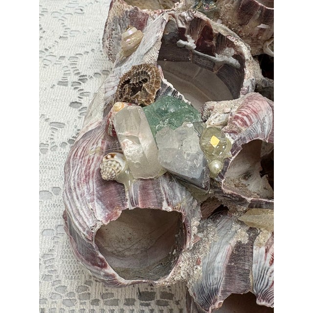 White Sculptural Seaside Barnacle Cluster Decor Accent For Sale - Image 8 of 11
