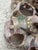 White Sculptural Seaside Barnacle Cluster Decor Accent For Sale - Image 8 of 11