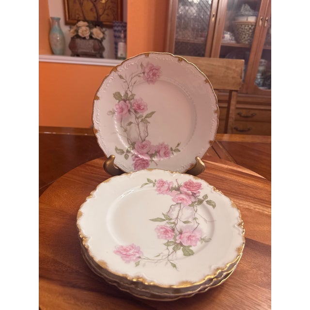 Haviland & Co. 1930s Luncheon Plate Schleiger 1151 by Haviland a Set of 4 For Sale - Image 4 of 11