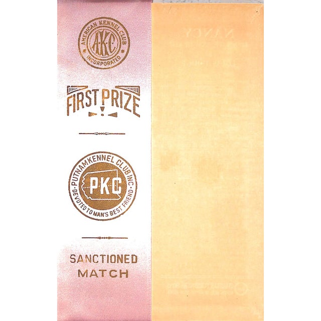 "Nancy: Her Life and Death" 1921 Dodge, Louis For Sale In New York - Image 6 of 7