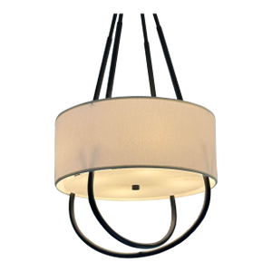 Contemporary Loop Pendant