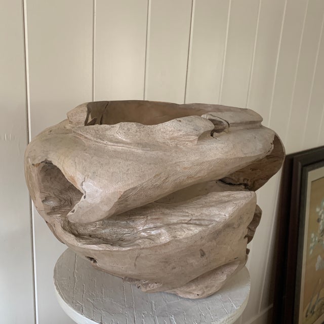 Tan Organic Modern Teak Root Sculptural Vessel For Sale - Image 8 of 10