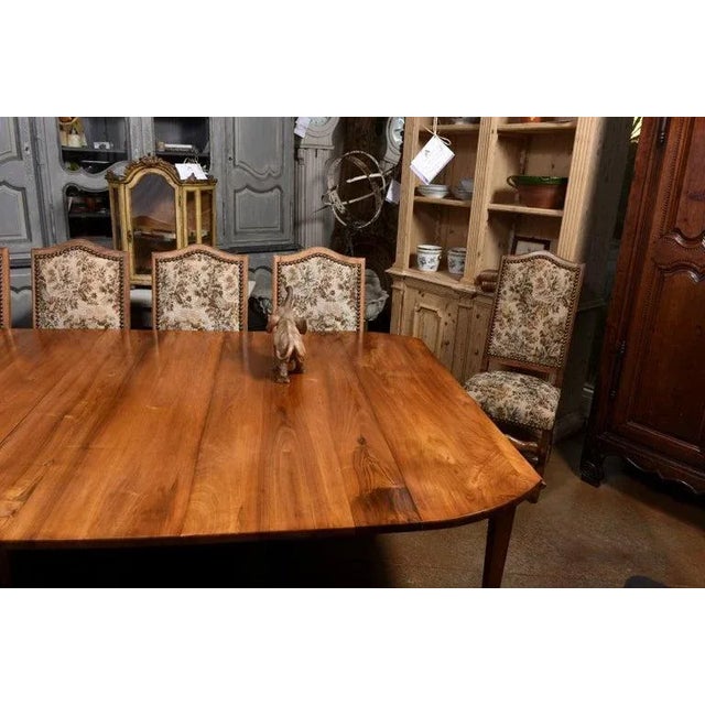 Brown 19th Century French Terracotta Sculpture Depicting a Walking Asian Elephant For Sale - Image 8 of 12