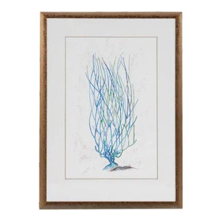 1990s Abstract Blue Coral Reef Print, Framed For Sale