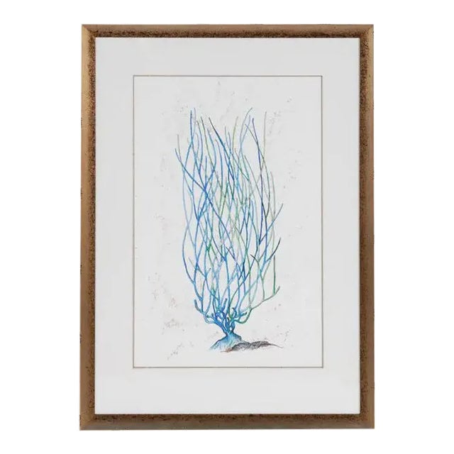 1990s Abstract Blue Coral Reef Print, Framed For Sale
