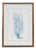 1990s Abstract Blue Coral Reef Print, Framed For Sale